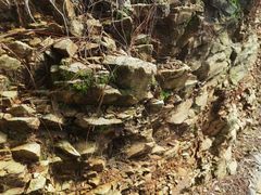 -羚羊峡古栈道森林公园