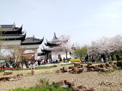 -苏州上方山国家森林公园