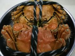 -乐从天佑城海洋馆