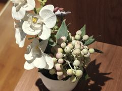 -华农酸奶文化馆