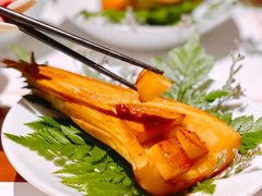 -觀芷隐轩