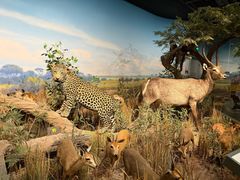 -陕西自然博物馆