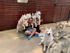 -TrueLove @ Neverland (Husky Cafe)