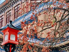 -广州中山纪念堂