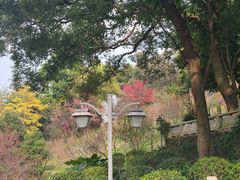 -乌山风景区
