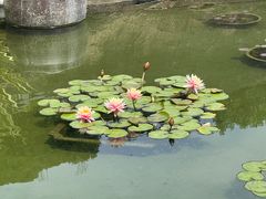 -石峰岩寺