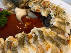 -博雅渔港·融合菜(维也纳国际大酒店)