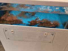 -曹胖子龙虾馆(黄桦路店)