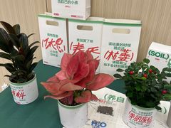 -曼朗心理咨询·旗舰店
