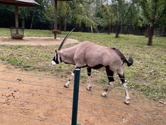 -大连森林动物园