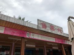 -天适樱花悠乐园