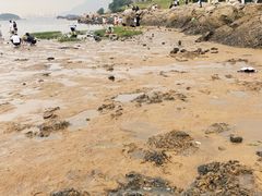 -在海一方公园