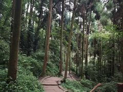 -青城山