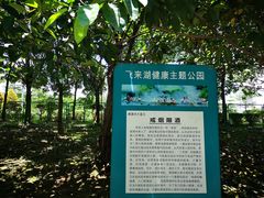 -飞来湖湿地公园