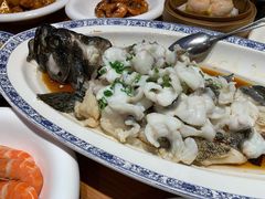 清蒸石斑鱼-頂好酒家·经典粤菜(海信广场店)