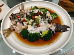 鲜花椒蒸笋壳鱼-富淳饭店(陆家嘴保利广场店)