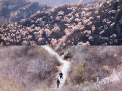 -沉浸北京·团建旅行·密室剧本杀·年会会议轰趴拓展