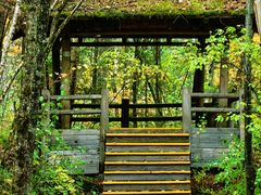 -五营红松林海景区