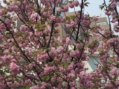 -东方之珠洗浴休闲广场(南开店)