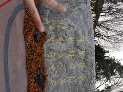 -北京国家会计学院