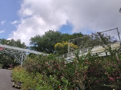 -木兰云雾山
