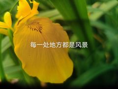 -成都市活水公园