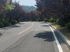 -金龙寺国家森林公园
