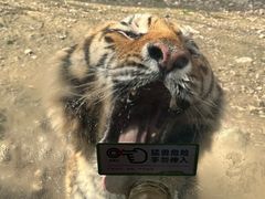 -栾川竹海野生动物园