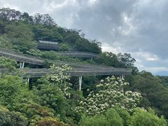 -福道