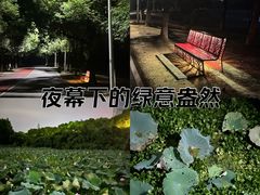 -艾溪湖湿地公园