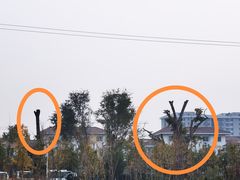 -玲珑塔公园