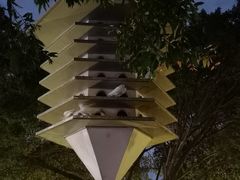 -顺峰山公园