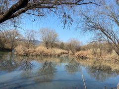 -长兴太湖图影湿地文化园