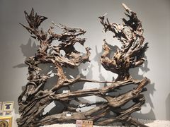 -吉林市博物馆