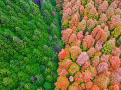 -山王坪喀斯特国家生态公园