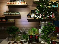 -海口绿发希尔顿酒店-田园汇自助餐·三文鱼·海鲜