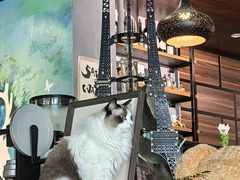 -咖法森林·咖啡  酒吧(天河店)