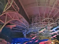 -烟台海昌鲸鲨海洋公园