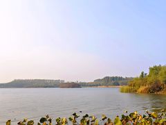 -丁香湖公园
