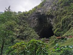 -巴马洞天福地景区
