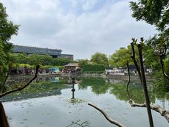 -嘉定紫藤园