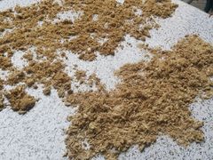 -沙湾姜埋奶(兴新包店)