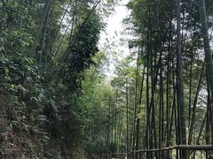 -千泷沟大瀑布旅游区
