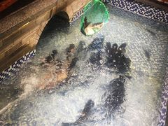 -醉湘厨艺(才华街店)