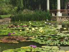 -国家植物园南园