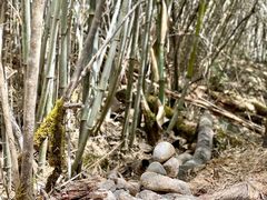 -卡定沟景区