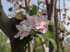 -金宫殿故址