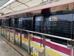 -外高桥保税区南(地铁站)