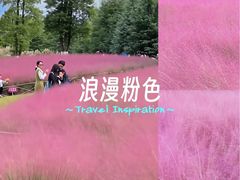 -嘉北郊野公园
