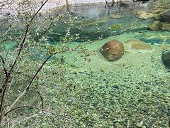 -黄山翡翠谷景区